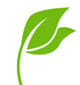 green leaf